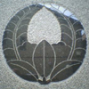 ɓオ蓡